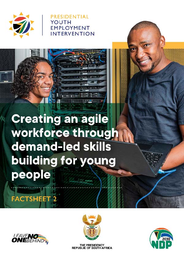 the fact sheet on Demand-led Skills Development