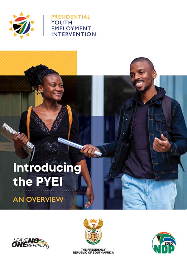 Introducing the PYEI – An Overview