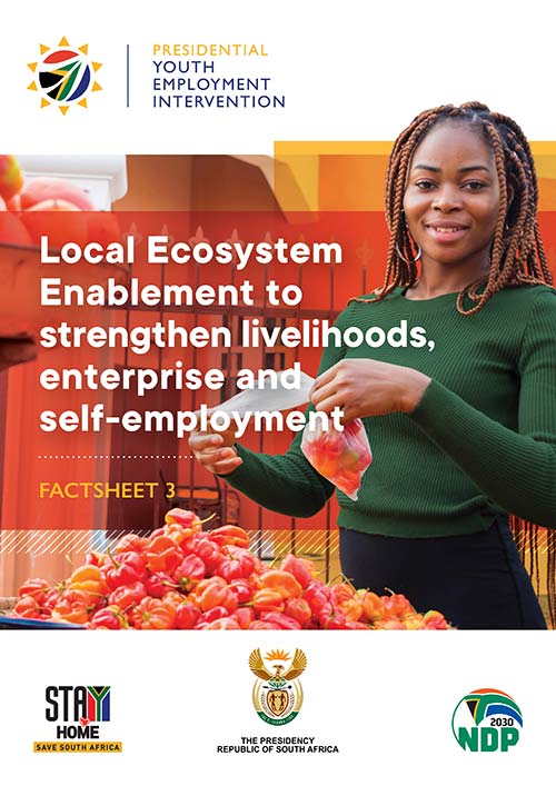 the fact sheet on Local Ecosystem Enablement